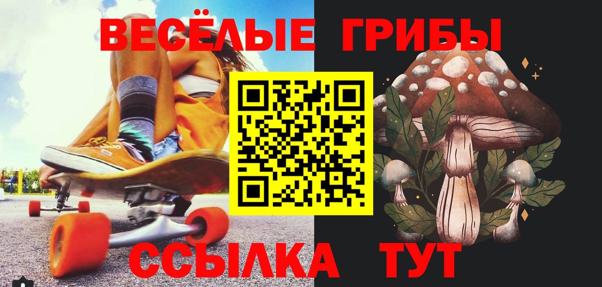 Щёкино  Галлюциногенные грибы ЛСД  Вход с VPN 